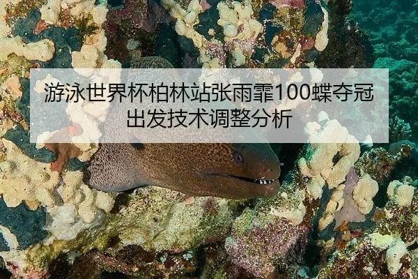 you-yong-shi-jie-bei-bo-lin-zhan-zhang-yu-fei-die-duo-guan-chu-fa-ji-shu-tiao-zheng-fen-xi-3-590.jpg