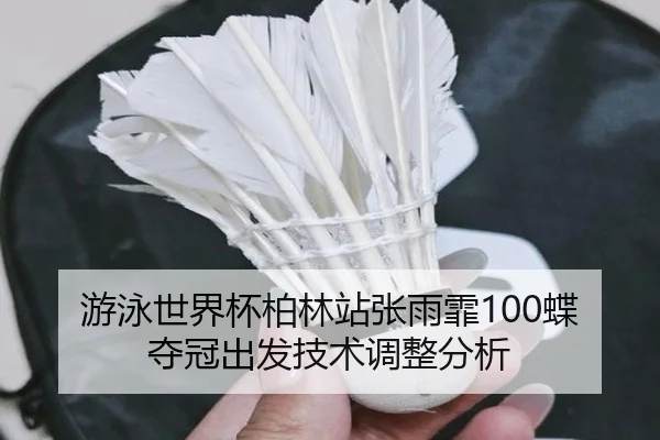 游泳世界杯柏林站张雨霏100蝶夺冠出发技术调整分析